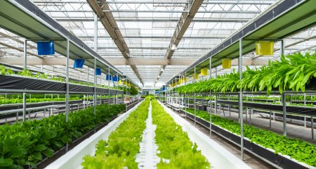 Project Qatar (Doha Building Materials Exhibition) 02